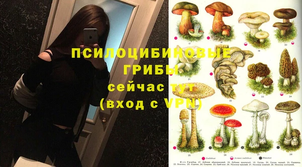 mix Щучье
