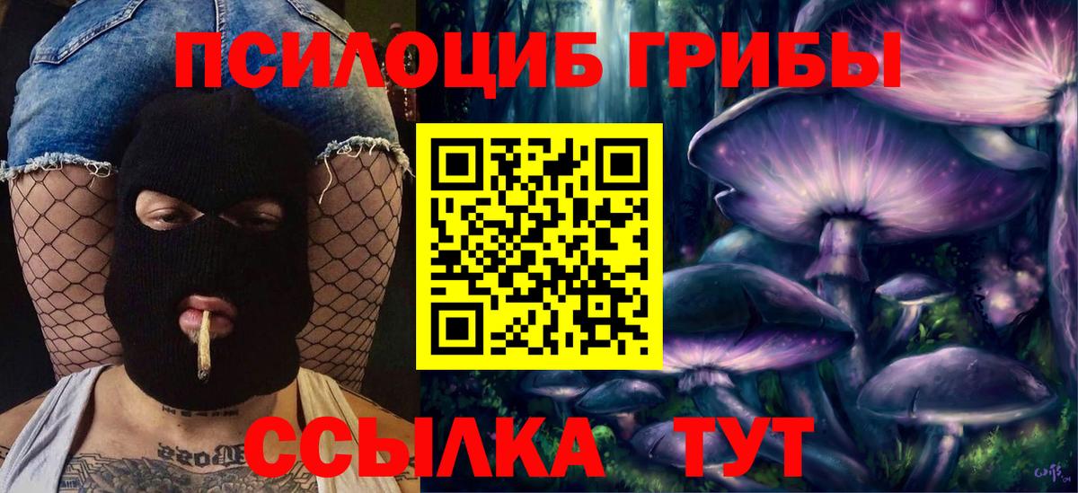 Псилоцибиновые грибы GOLDEN TEACHER  Вход с VPN  Нижнеудинск  Псилоцибиновые грибы мухоморы 